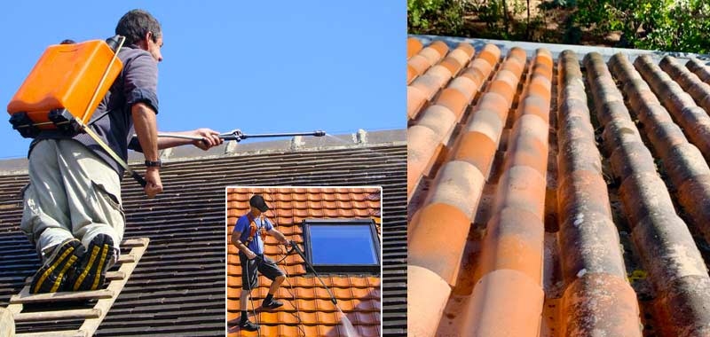 Nettoyage Toiture : démoussage toit et peinture hydrofuge de couverture. Intervention dans les Pyrénées-Atlantiques (64) : DS TOITURE 64 : Couvreur