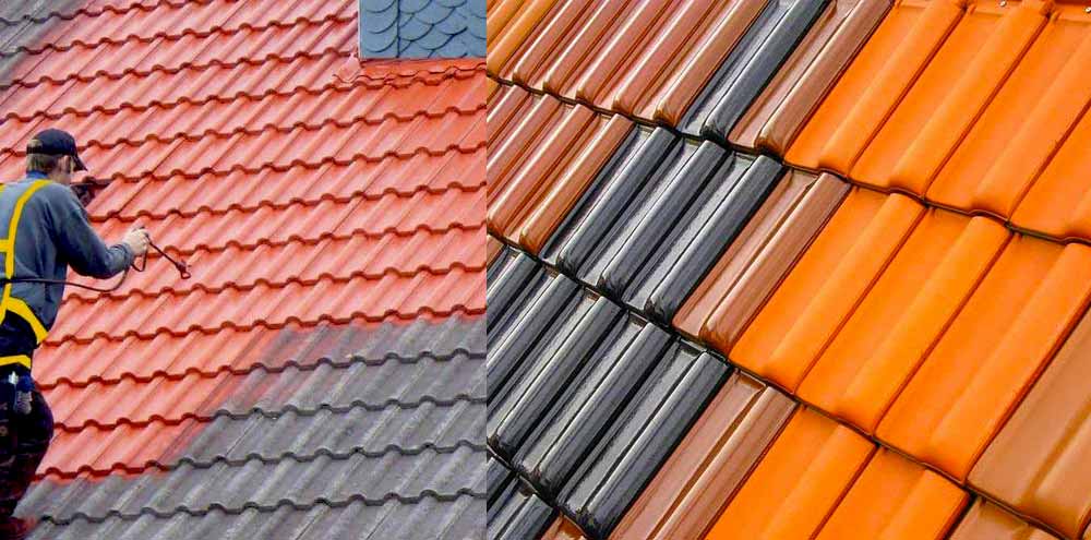 Nettoyage Toiture : démoussage toit et peinture hydrofuge de couverture. Intervention dans les Pyrénées-Atlantiques (64) : DS TOITURE 64 : Couvreur